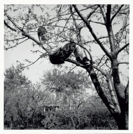 Maria i kirsebærtræet