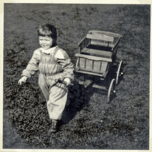 Trækvogn i Lersøparken NV