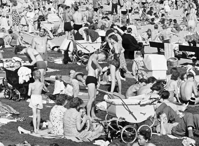 Fluepapir på Bellevue