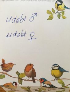 Udøbt dreng eller pige