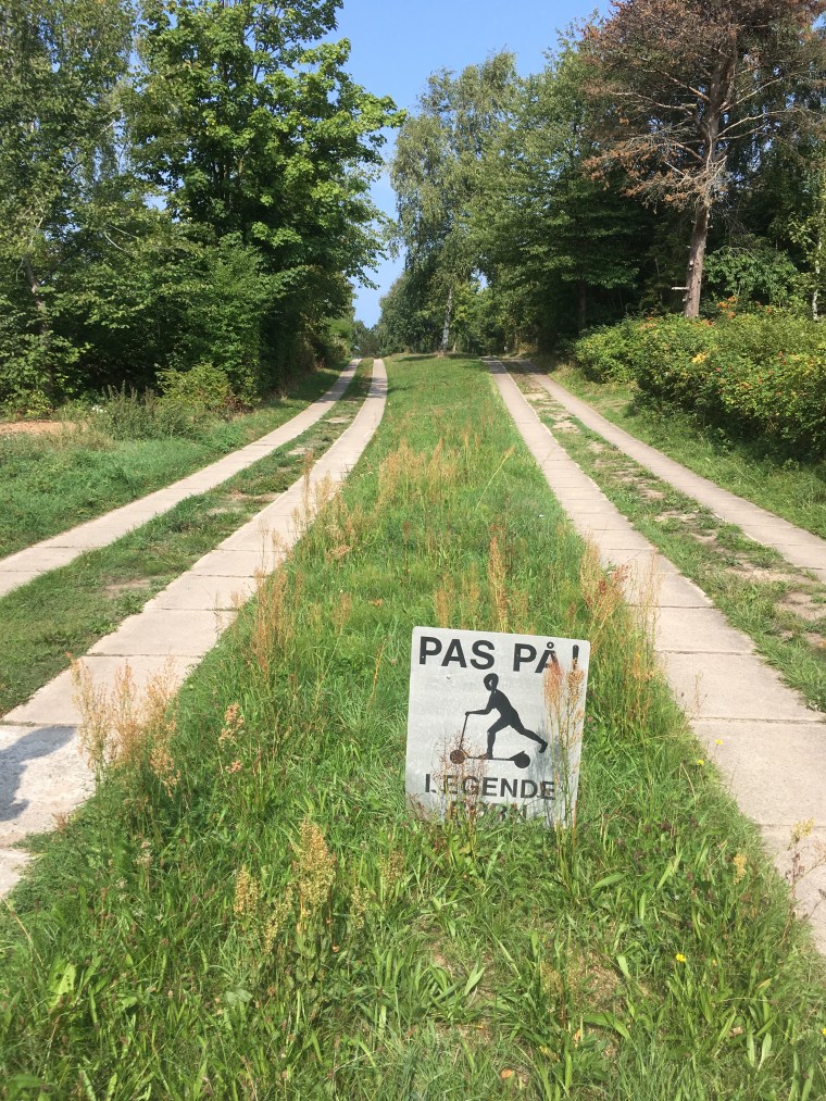 Flisevejen fra nutiden. Meget tilgrot i forhold til dengang