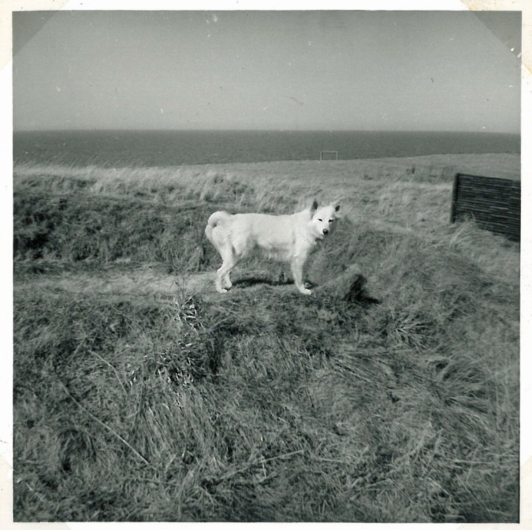 Banik i blæsten ved grotten på naturgrunden ud mod skrænten